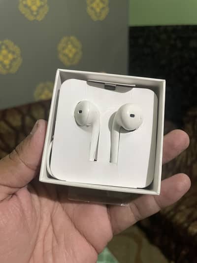 Apple Type C Earphones