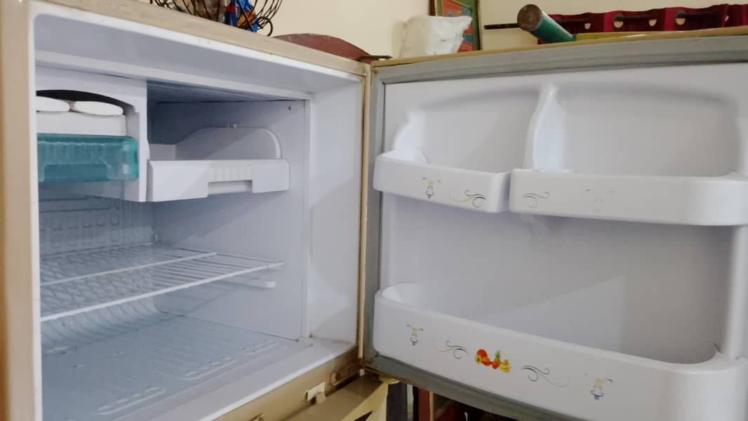 Waves Medium Fridge 1