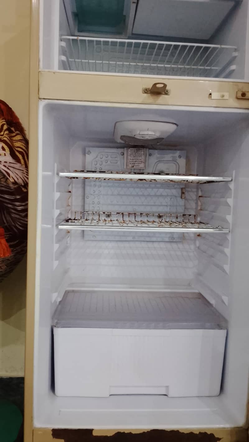 Waves Medium Fridge 2