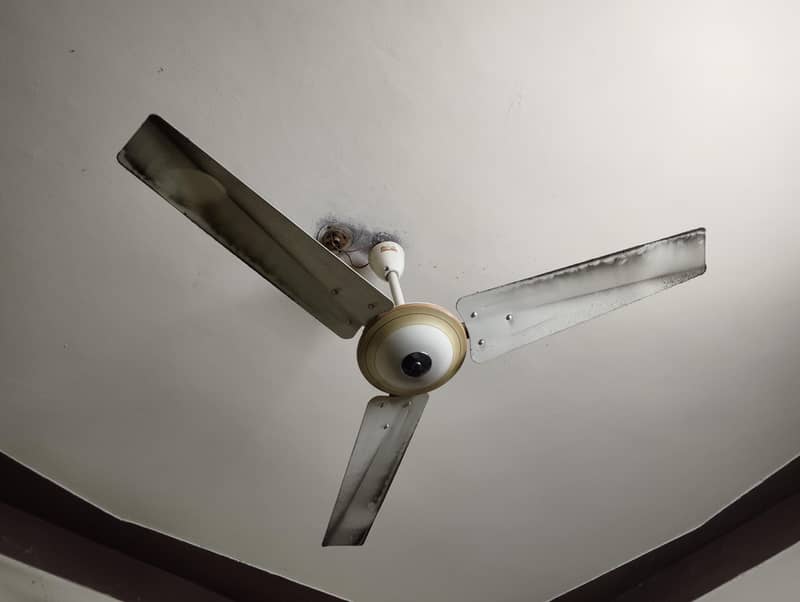 ceiling fans 0