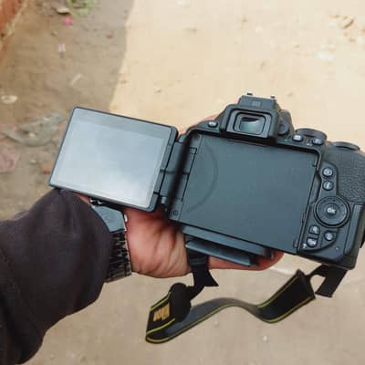 Nikon d5600 Camera Argent Sale