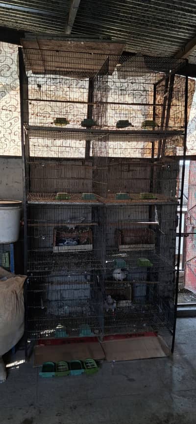 birds Cage