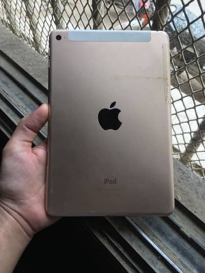 iPad mini 4