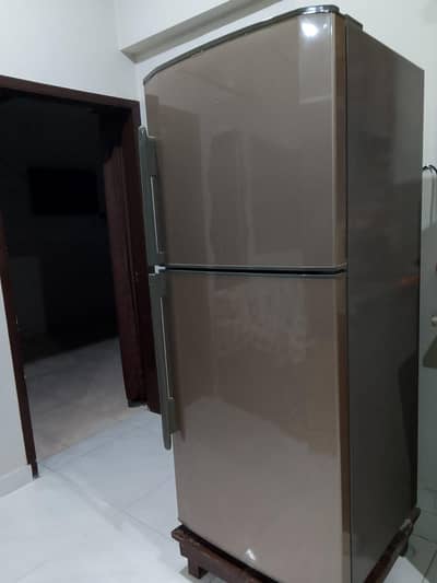 Refrigerator & Freezer