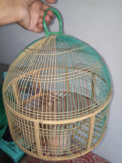cage for sale