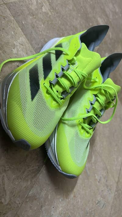 Adidas Adizero Boston 12