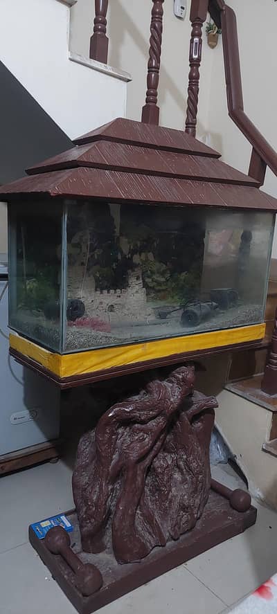 fish aquarium