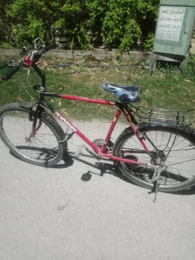 main NY Bick Lena hain