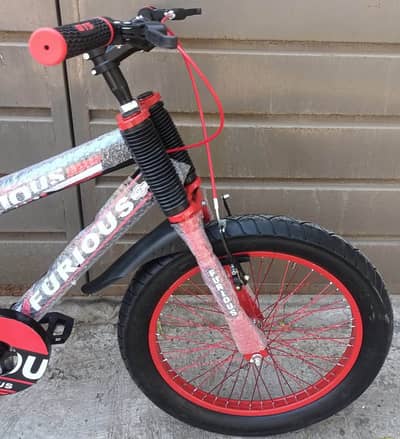 20 numbar cycle 20 inchs