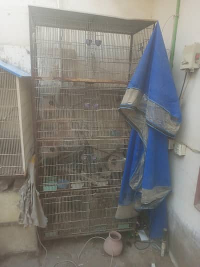 8 Portion Cage Available for sale