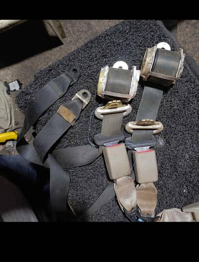 car belt universal fitting  c a r g o available all pk