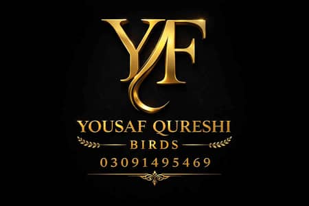 Yousaf Qureshi