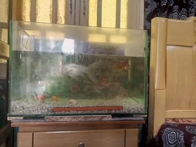 Fish Aqrium 2 by 1/5