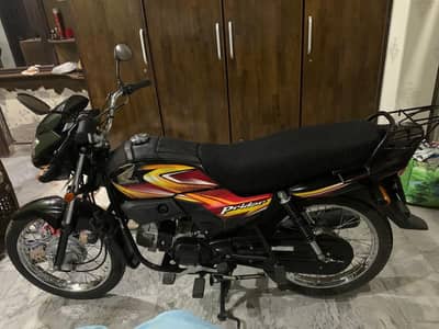 2024/25 Punjab register