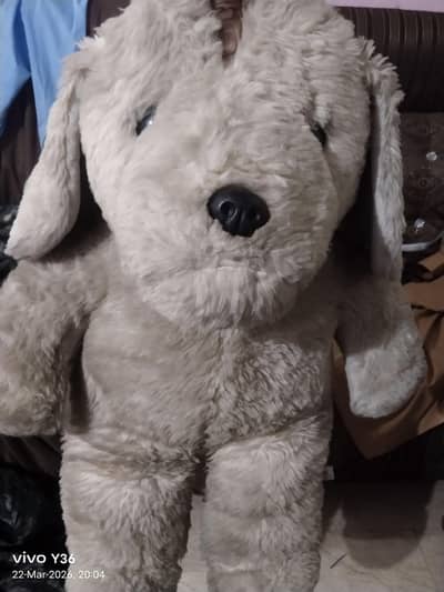 Teddy bear hn. . . . dust hn bs. . . . . urgent sale hn