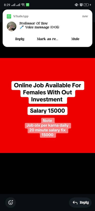 online jobs available for females
