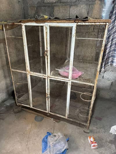 Cage for hens and parrot