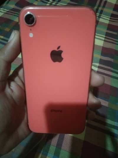 iPhone XR