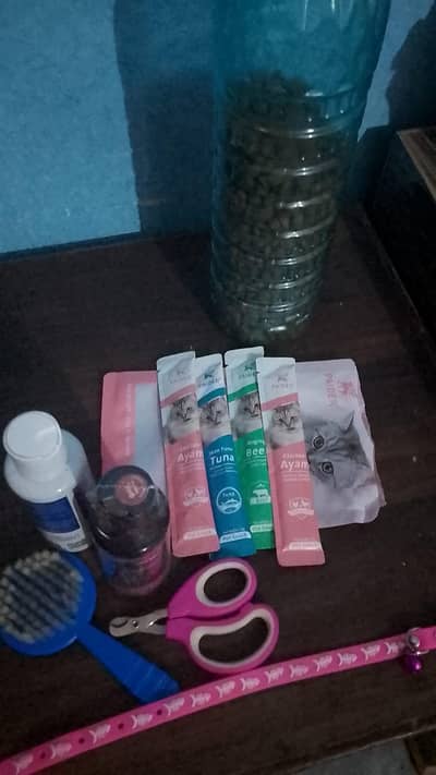 Cat food and accessories for sale