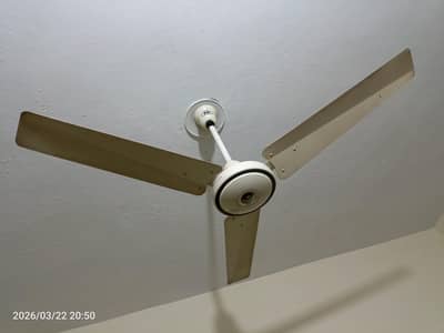 GFC 56 Inch AC FAN