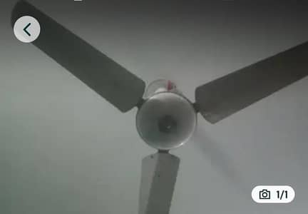 fan for sale