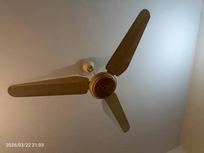 GFC 56 Inch AC FAN