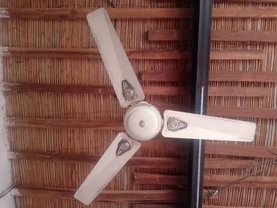 Ac and Dc fan for sell