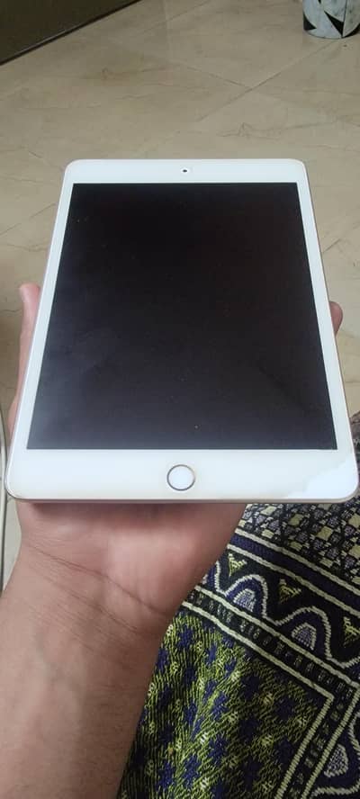 Ipad Mini 5 64 GB