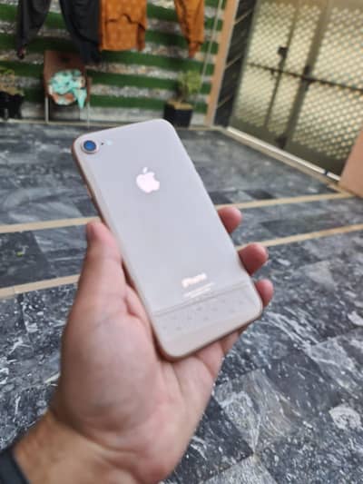 I phone 8 pta approved Brand New condition new phone