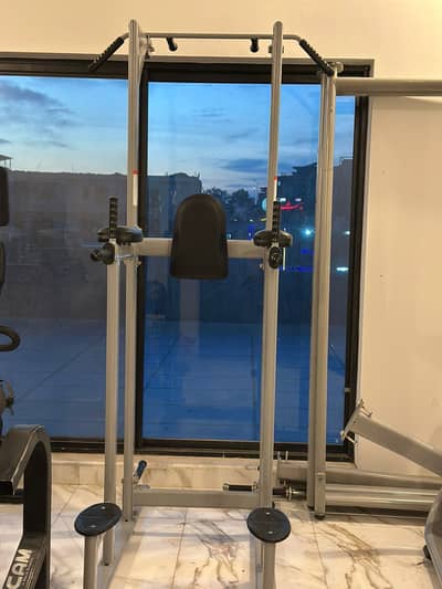 Pull-up, Dip & Abs Machine (Commercial Quality)