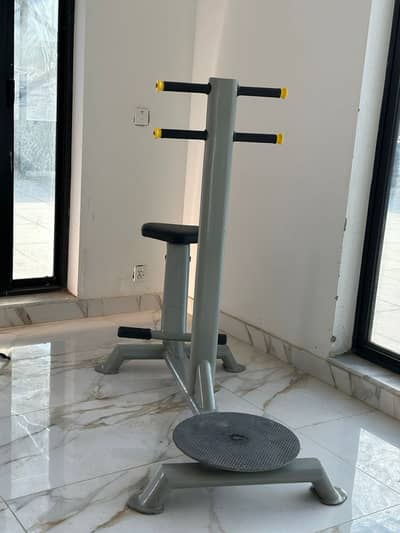 Seated Torso Rotation Machine (Twister)