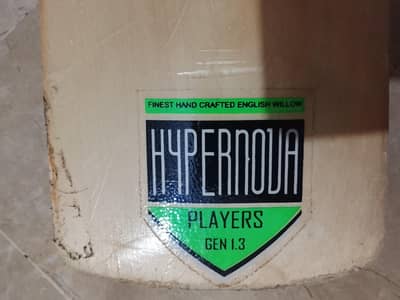 gray nicolls cricket bat