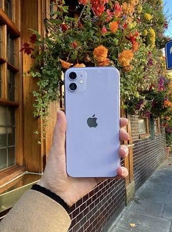 iphone 11 (03705055230)