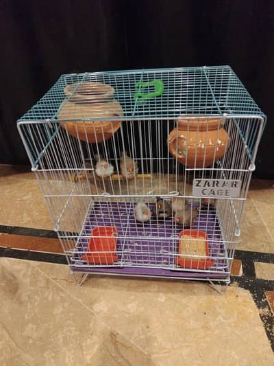 finches cage for sell