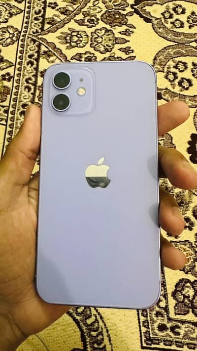 iphone 12 official pta