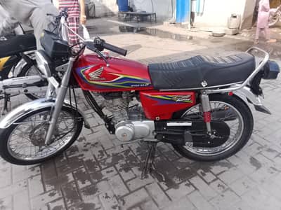 All ok documents clear  golden number 7071  number 03174553901