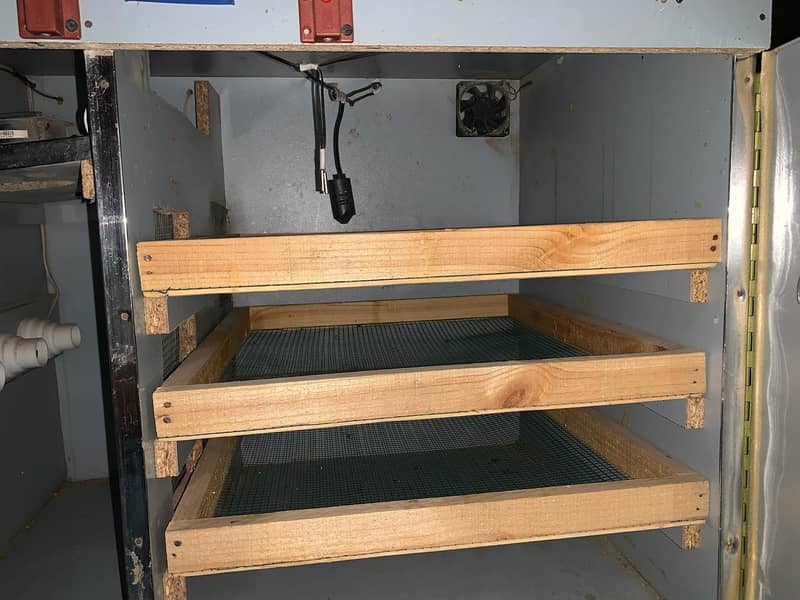 Incubator 5