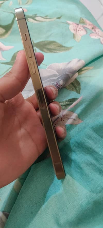 12 pro max pta approved