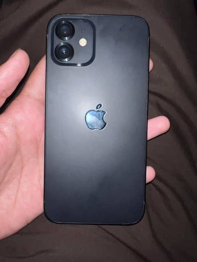 I phone 12
