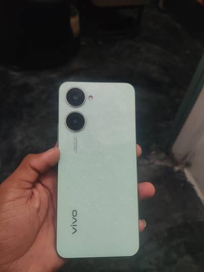 vivo03