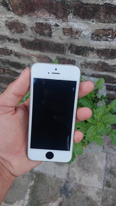 iphone 5s pta approved