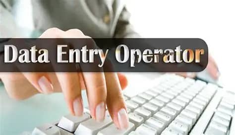 Data Entry Operator 0