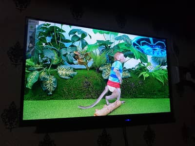 Android Samsung Boderless 32" LED For Sale