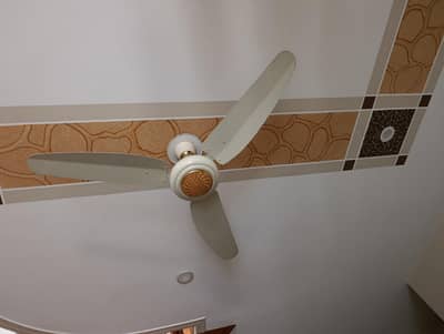 Ceiling Fans