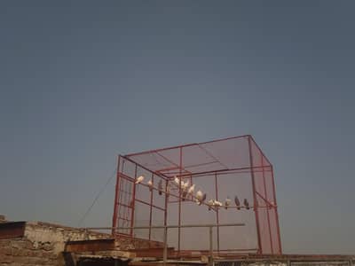 iron cage made by 5 pice