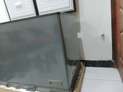 Hair Deep freezer 2 door.