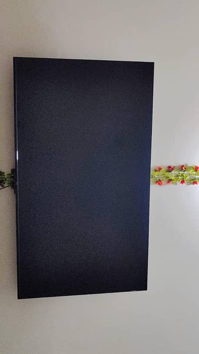 tcl Qled 55p79k brand new