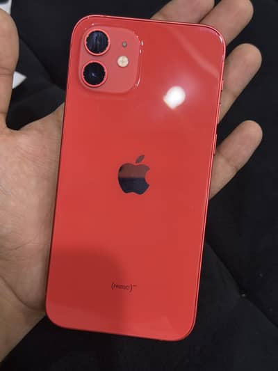 Iphone 12 PTA APPROVED