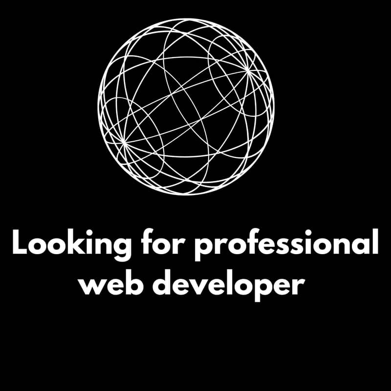 Need web developer 0