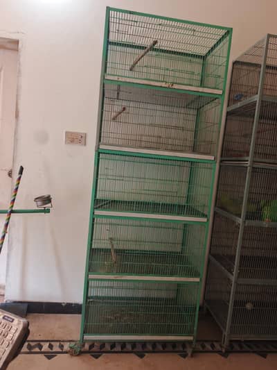 Cages Available For Tamed and Breeding Cages